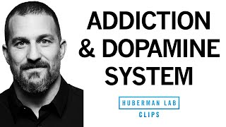 Addiction Explained Rises amp Falls in Dopamine  Dr Andrew Huberman [upl. by Quinby]