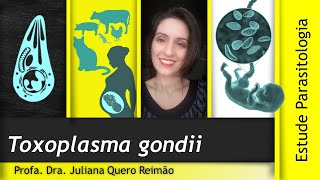 Aula sobre Toxoplasma gondii e Toxoplasmose [upl. by Elokin290]