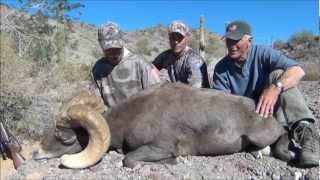 Arizona Desert Bighorn Sheep Hunting 2012 Pat Feldt amp Bill Blose [upl. by Etnaihc]