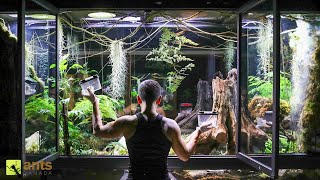 I Added Animals Into My Giant Rainforest Vivarium [upl. by Meaghan]