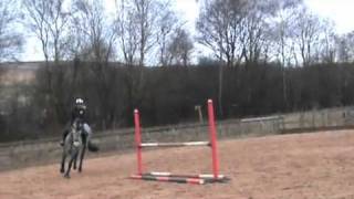 Show Jumping Exercise Improve Your Show Jumping In Just 5 Minutes [upl. by Sioled702]