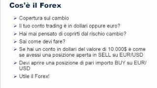 Forex  Conto di Trading in Euro o in Dollari [upl. by Cost]