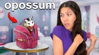 We FOUND A HUGE Opossum In Our HOUSEShocking [upl. by Addiel]