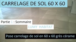 Poser du carrelage de sol 60 x 60  présentation du chantier étape par étape 1 LUMY 40 [upl. by Imelida735]