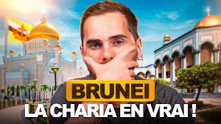 Le Sultanat de Brunei entre Luxe et Charia mon expérience [upl. by Shannen]