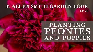 Planting Peonies amp Poppies  Spring Garden Preps P Allen Smith 2019 [upl. by Odnalra]