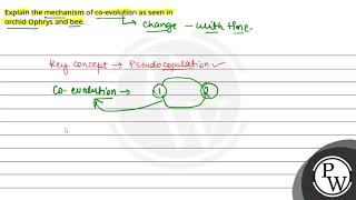 Explain the mechanism of coevolution as seen in orchid Ophrys and bee [upl. by Elane]