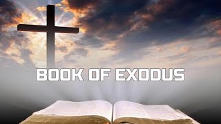 Bedtime Stories  Book of Exodus [upl. by Zrike]