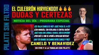 Pilatti en Vivo Dudas y certezas sobre el culebrón CaneloBenavidez [upl. by Eihtak]