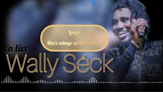 WALLY SECKLouga mare mbaye sa bigué marewallyseck samaartiste [upl. by Purington]