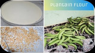 How to Make Homemade PLANTAIN FLOUR with just one Ingredient amp Uses of Plantain Flour [upl. by Eninaej]