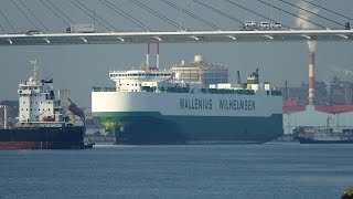 Wallenius Wilhelmsen “FAUST” at Nagoya Port [upl. by Neelram893]