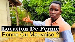 Location de ferme avicole pour son projet Bonne ou mauvaise [upl. by Htrahddis576]