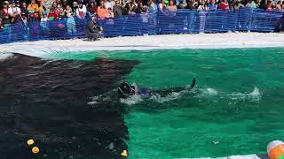 20240414Stevens Pass season closing pond skim [upl. by Oralla]