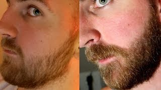 How to Dye your PATCHY BEARD  Fuller Beard Appearance  YEARD WEEK 8 [upl. by Leunamesoj]