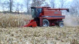 Corn Harvest 2009 Case IH 1660 [upl. by Alimat]