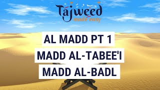 Theory Lesson 13  Al Madd Pt 1 AlTabeei AlBadl  Tajweed Made Easy [upl. by Sisile]