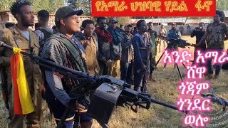 የአማራ ህዝባዊ ሃይል ፋኖ  AMHARA FANO [upl. by Inavoig]