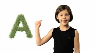 ASL ABC Lesson and Song  Learn Sign Language Alphabet [upl. by Ewolram]