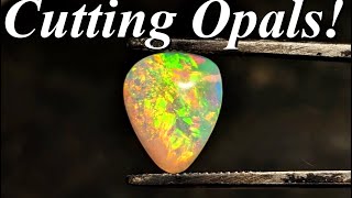 So Many Amazing Opals Cabbing Welos Honeycomb Brazilian Opal Australian Opal and More [upl. by Anaul]