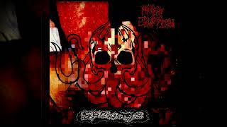 Artery Eruption  Spewage 2004 Compilation [upl. by Orlando621]