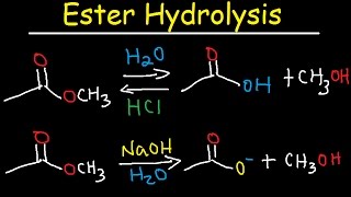 Ester Hydrolysis Reaction Mechanism  Acid Catalyzed amp Base Promoted Organic Chemistry [upl. by Gypsie]