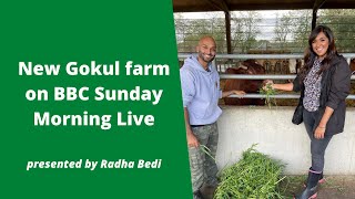 Bhaktivedanta Manors New Gokul dairy farm on BBC Sunday Morning Live [upl. by Anasor554]