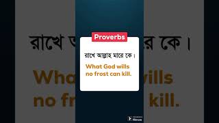 Proverbs প্রবাদ বাক্য in English with bengali meaning  shorts [upl. by Quin]