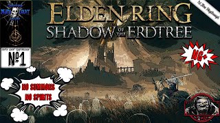 SHADOW OF THE ERDTREE NG No SummonsSpirits  Elden Ring DLC Death Count Full Playthrough PT1 [upl. by Harper735]