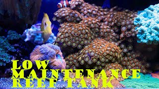 Low Maintenance 150 Gallon Mixed Reef Tank Update [upl. by Pritchard286]