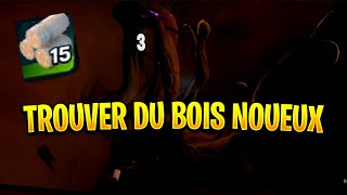 LEGO FORTNITE Fr  TROUVER DU BOIS NOUEUX ET COMMENT LE RECUPERER [upl. by Erick160]