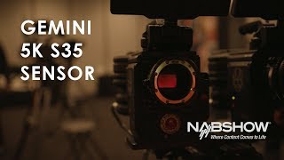 REDs New Gemini 5K S35 Sensor  NAB 2018 [upl. by Divadnahtanoj455]