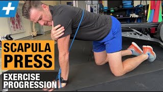 Scapula Press Exercise Progression for Serratus Anterior and Winging  Tim Keeley  Physio REHAB [upl. by Neo]