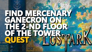 Find Mercenary Ganecron on the 2nd floor of the Tower Lost Ark [upl. by Diver]