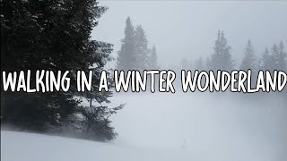 Amy Grant  Winter Wonderland Lyrics [upl. by Ettelloc]