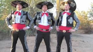 What Is A Plethora ¡Three Amigos [upl. by Nabatse]