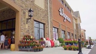 Wegmans Wilmington [upl. by Nnoj219]