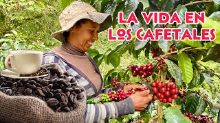 La VIDA en una FINCA productora de CAFÉ ☕️ Josué y Elie [upl. by Saval]