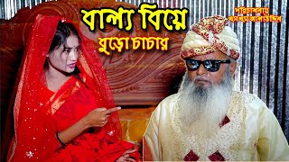 বুড়ো চাচার বাল্য বিবাহ  bangla natok  namaji bahu  safik  namaji bou  অনুধাবন  natok  SM NEWS [upl. by Chapel]