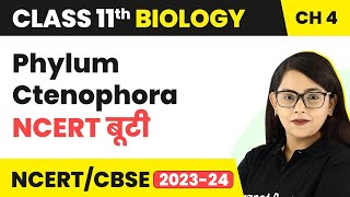 Phylum Ctenophora NCERT बूटी  Animal Kingdom  Class 11 Biology Chapter 4  NCERTCBSE [upl. by Pence]