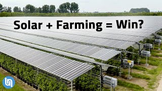 Solar Panels Plus Farming Agrivoltaics Explained [upl. by Nafis]