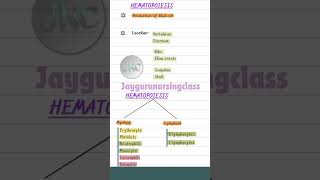 Hematopoiesis location and stem cell differenciate norcetpre norcetmcqs rrb nursingstudent [upl. by Zetra]