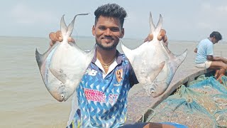 पापलेट मासेमारी pomfret fishing Mumbai Indian fishing [upl. by Orms]