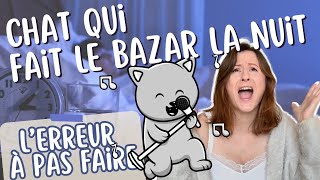 chat qui miaule toute la nuit 👉🏻 comment arrêter ça [upl. by Tarabar]