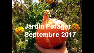 Jardin Potager en Permaculture Septembre 2017 🌳15 [upl. by Aleetha]