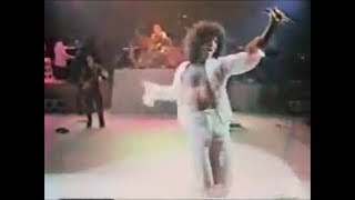 GINO VANNELLI Live  APALOOSA [upl. by Nodnek]