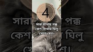 ধাঁধা প্রশ্ন ও উত্তর  ধাঁধা Dhadha Mojar Dhadha Dhadha Bangla ধাধা ধাঁধা প্রশ্ন shorts [upl. by Cummine]