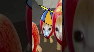 Thief Obungas want me to find and bring them Baby Apple Cat [upl. by Stevenson84]