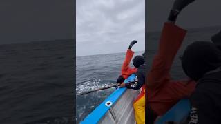 Man overboard fish fishing wow save fishinglife [upl. by Notnilk492]