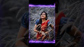 Saiya ke jarurrat bhojpuri statua shilpi raj new song bhojpurishortsbhojpuri status [upl. by Haldeman315]